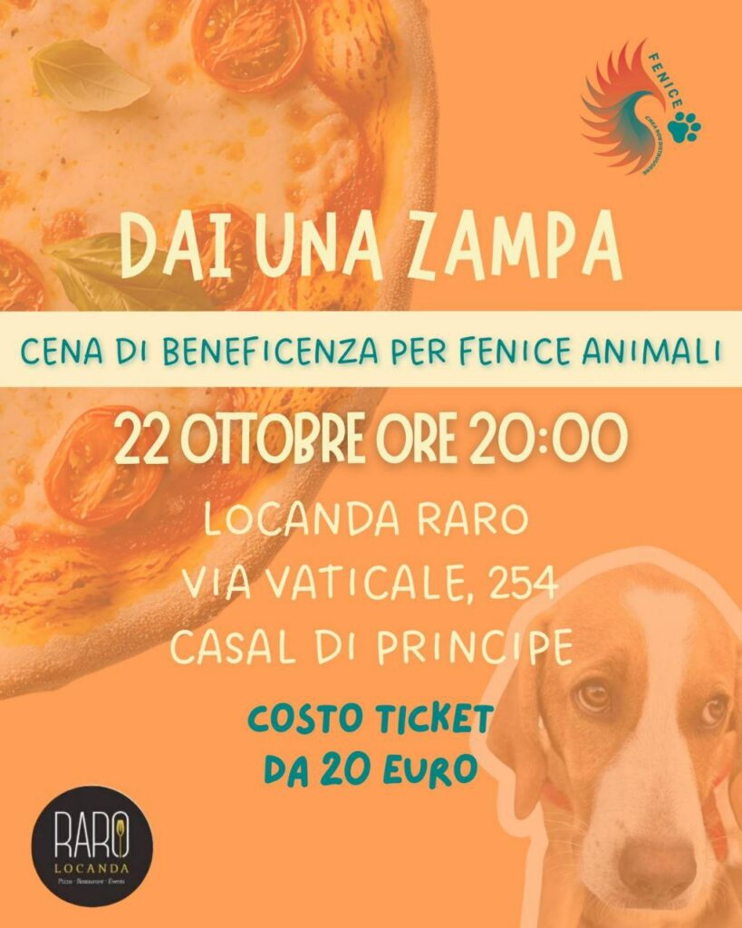 Dai una zampa! dai una zampa